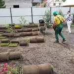Фото №2 Посев семян. Газоны. Благоустройство