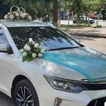Toyota Camry 2018 на свадьбу. Аренда украшений