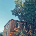 Фото №3 Спилить дерево.Удаление деревьев.Арбористика