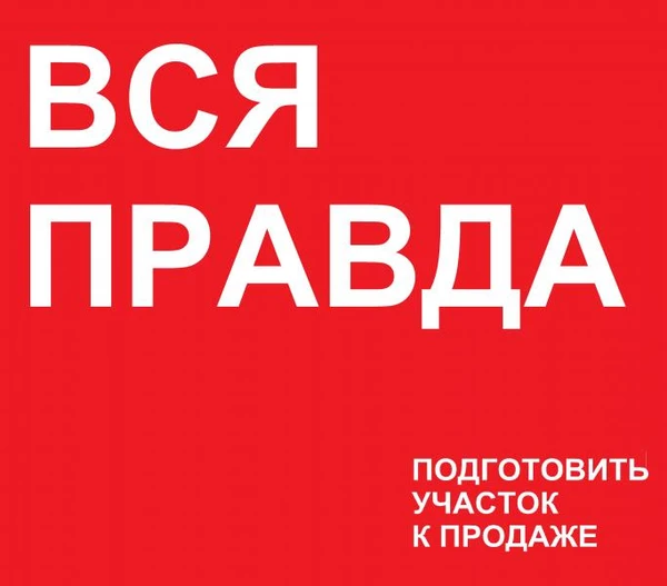 Фото РАЗОБЛАЧЕНИЕ И ВСЯ ПРАВДА О ПОДГОТОВКЕ УЧАСТКА К ПРОДАЖЕ.
