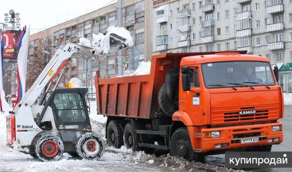 Фото Услуги и аренда мини погрузчика Bobcat в СПб