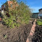 Фото №12 Продаю двухэтажный кирпичный дом на участке 10 соток район ул.