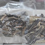 Фото №2 Грибы