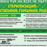 Ветеринарные услуги