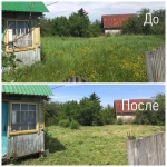 Фото №4 Покос травы, спиливание деревьев