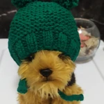 Фото №5 Вязаные шапочки для Ваших любимцев.
