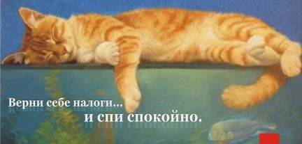Фото Налоговые декларации