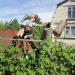 Фото №3 спил деревьев