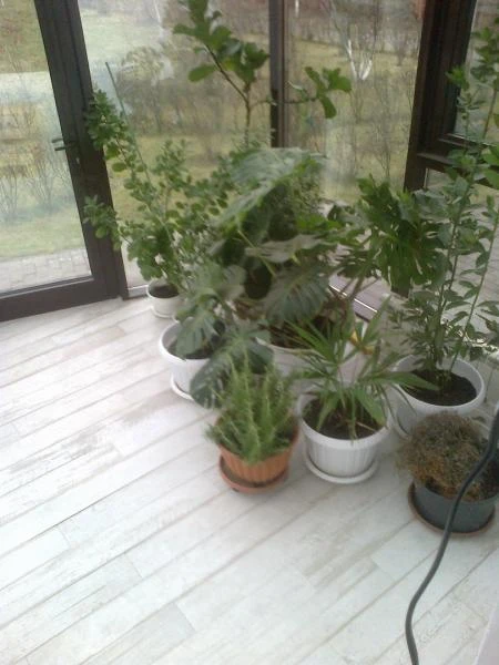 Фото Уборка, химчистка