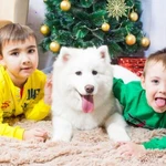 Фото №6 Фотограф по Тульской области