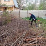 Фото №2 Расчистка и уборка участка, спил, покос, прополка дачи