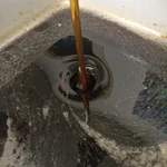 фото Мёд дягиль из соснового леса