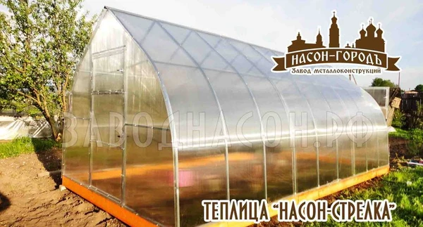 Фото Теплица "Насон-Стрелка" 6х3м.