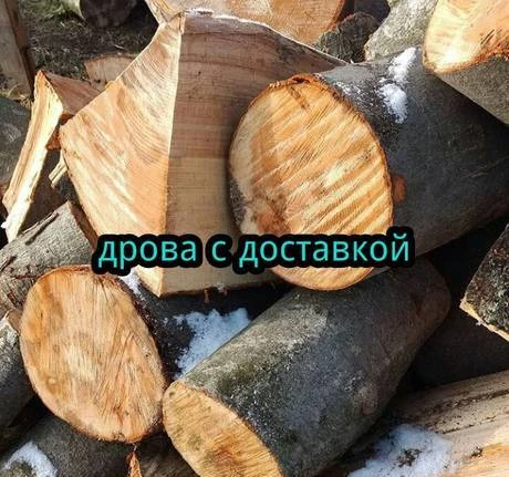 Фото Дрова тюльками и рубленные