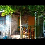 Фото №10 Продаю дачу СНТ Нефтяник