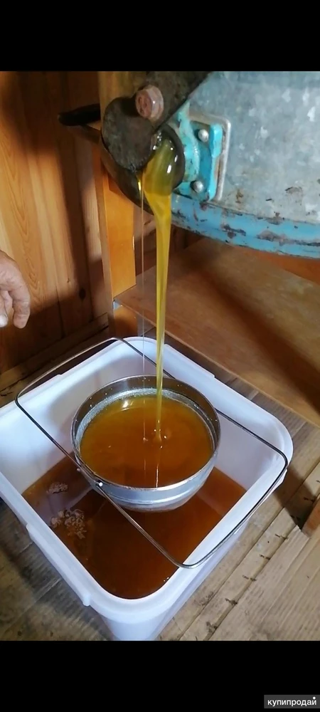 Фото Мёд свежий