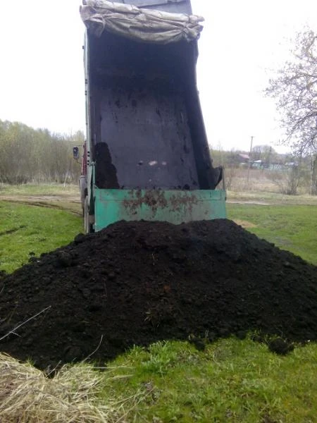 Фото Чернозём,земля плодородная,торф,грунт,навоз,щебень,перегной
