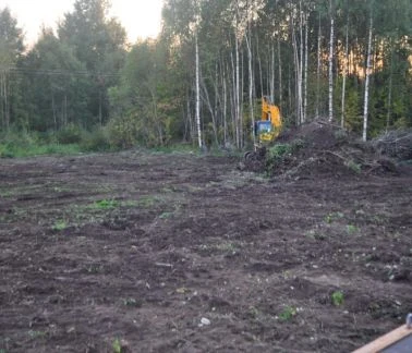 Фото Уборка/Расчистка участков. Вывоз/Погрузка мусора