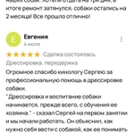 Фото №5 Дрессировка, передержка