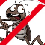 Уничтожение различных насекомых с гарантией