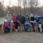 Дрессировка собак в Брянске и области