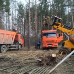 Очистка участков, спил деревьев, корчевание пней