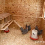 Фото №2 Курятник зимний