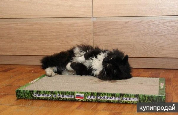 Фото Новые когтеточки-лежанки для кошек в Дагестане.