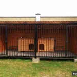 Фото №2 Вольеры для собак