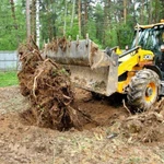 Очистка, расчистка, благоустройство участка.