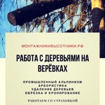 Обрезка и Удаление деревьев, расчистка участка от поросли