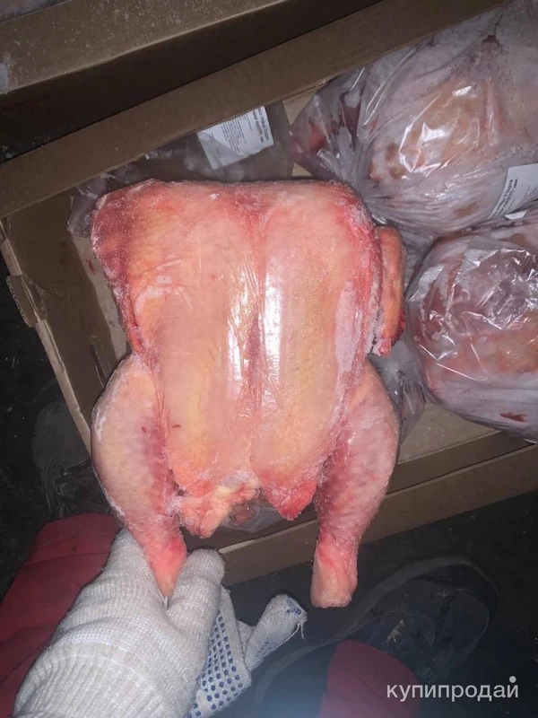 Фото Маточник 3-3,5кг+