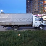 Фото №7 Грузоперевозки  газель 