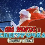 Дед Мороз и Снегурочка на дом