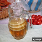 Фото №4 Чайный Гриб Комбуча Фанго