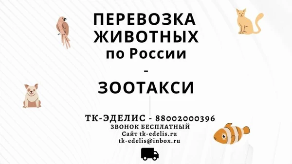 Фото Перевозка животных Яблоновский