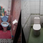 Фото №3 Лайт Хаус