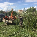 Аренда измельчителя веток и деревьев в Волоколамске.