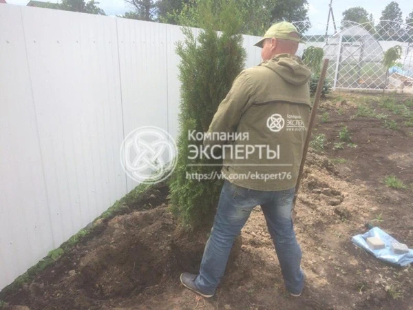 Фото Компания ЭКСПЕРТЫ (дренаж,тротуарная плитка, автополив, озеленение, освещение под ключ)