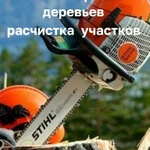 Снос и обрезка деревьев.