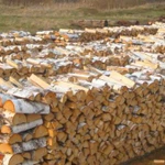 Продам дрова лиственных пород 
