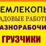 Землекопы. Работаем в карантин.Звоните