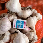 фото Чеснок Любаша