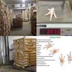 Фото №4 Лапы куриные класс А Халяль