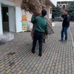 Фото №2 Сборка мебели недорого
