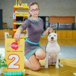 Фото №2 Хендлер для вашей собаки