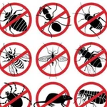 Уничтожение насекомых клопов тараканов Добрянка