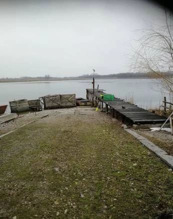 Фото Зарыбленный водоем с обустроенной базой