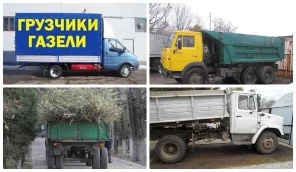Фото Вывоз хлама в Нижнем Новгороде