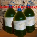 Фото №6 Хлорелла Богатый Пруд